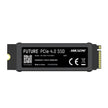 HikSemi Future 1024GB SSD NVME